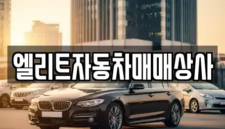 울산 동구 중고차매매 전문 엘리트자동차매매상사