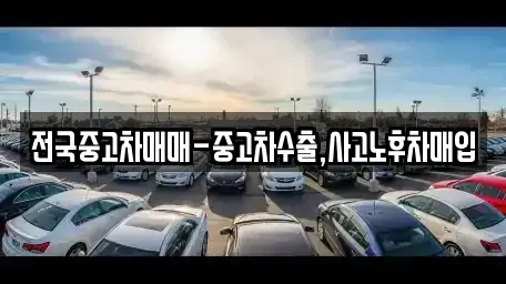 울산 동구 중고차매매 전문 전국중고차매매-중고차수출,사고노후차매입