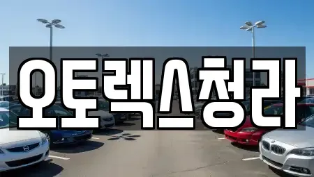 인천 동구 만석동 중고차매매 전문 오토렉스청라