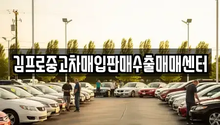 인천 옹진군 중고차매매 전문 김프로중고차매입판매수출매매센터