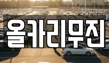 인천광역시 계양구 작전동 렌트카 전문 올카리무진