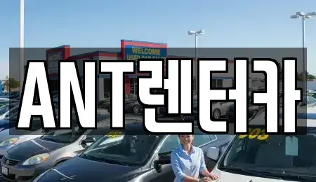 인천광역시 중구 중산동 렌트카 전문 ANT렌터카