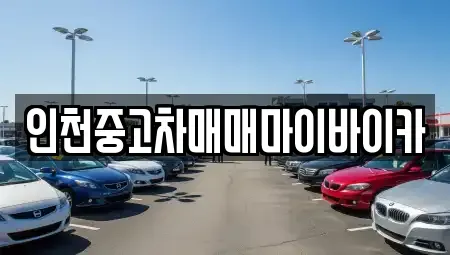 인천광역시 중구 중산동 중고차 전문 인천중고차매매마이바이카
