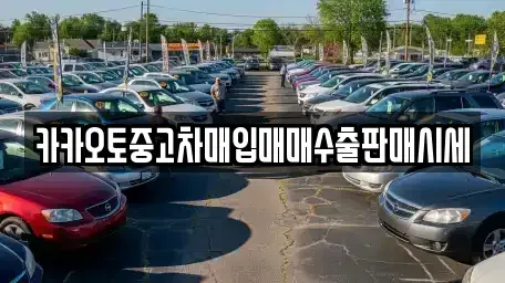 인천광역시 중구 중산동 중고차매입 전문 카카오토중고차매입매매수출판매시세