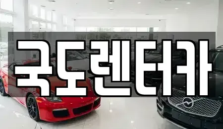 전남 구례군 렌트카 전문 국도렌터카