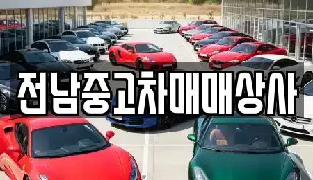 전남 구례군 중고차,렌트카,중고차매입,중고차매매,장기렌트카,단기렌트카