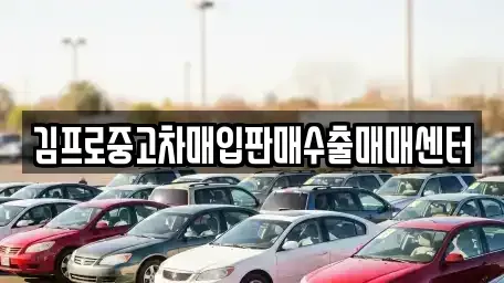 전남 구례군 중고차매입 전문 김프로중고차매입판매수출매매센터