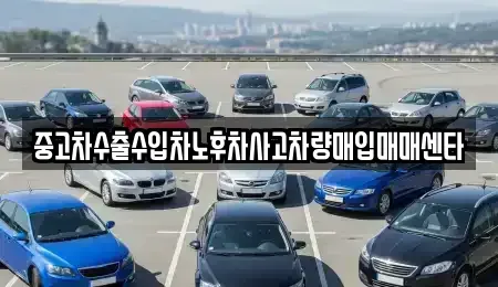전남 구례군 중고차매입 전문 중고차수출수입차노후차사고차량매입매매센타
