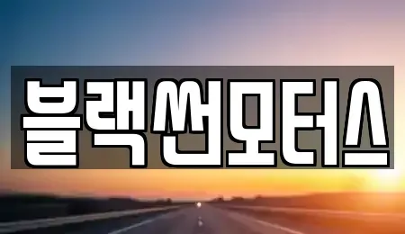 전남 장성군 남면 중고차매매 전문 블랙썬모터스