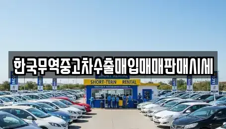 전북 김제시 용동 중고차 전문 한국무역중고차수출매입매매판매시세