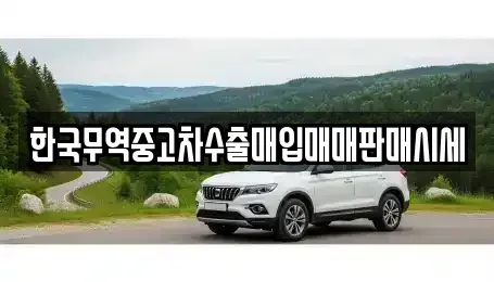 전북 전주시 덕진구 진북동 중고차 전문 한국무역중고차수출매입매매판매시세