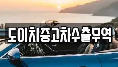 전북특별자치도 전주시 완산구 서완산동1가 중고차매매 전문 도이치중고차수출무역