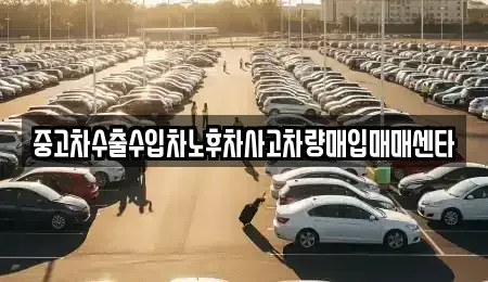 제주 제주시 삼양삼동 중고차 전문 중고차수출수입차노후차사고차량매입매매센타