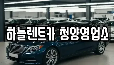 충남 청양군 렌트카 전문 하늘렌트카 청양영업소