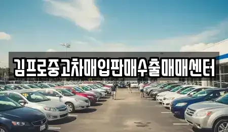 충남 청양군 중고차매입 전문 김프로중고차매입판매수출매매센터