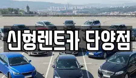 충북 단양군 가곡면 렌트카 전문 신형렌트카 단양점