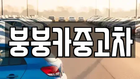 충북 단양군 가곡면 중고차 전문 붕붕카중고차