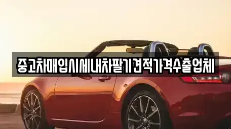 충북 단양군 가곡면 중고차매입 전문 중고차매입시세내차팔기견적가격수출업체