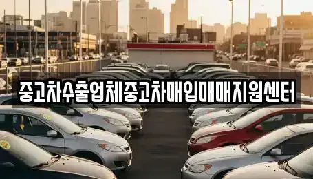 충북 단양군 가곡면 중고차매입 전문 중고차수출업체중고차매입매매지원센터