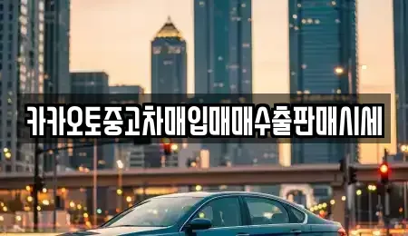 충청남도 공주시 반포면 중고차매매 전문 카카오토중고차매입매매수출판매시세