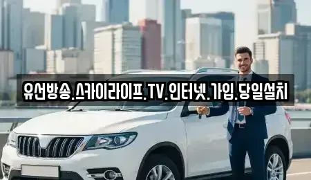 충청남도 공주시 반포면 중고차매입 전문 유선방송.스카이라이프.TV.인터넷.가입.당일설치