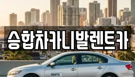 충청북도 옥천군 렌트카 전문 승합차카니발렌트카