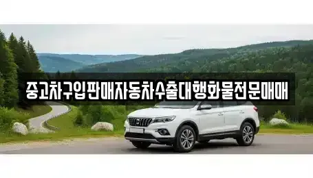 충청북도 청주시 상당구 산성동 중고차 전문 중고차구입판매자동차수출대행화물전문매매