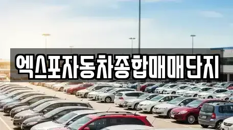 충청북도 청주시 청원구 주중동 중고차매매 전문 엑스포자동차종합매매단지
