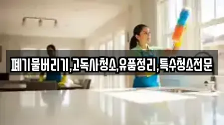 폐기물버리기,고독사청소,유품정리,특수청소전문